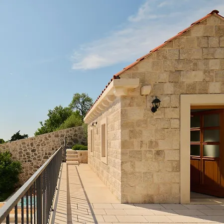 Palace Natali فندق